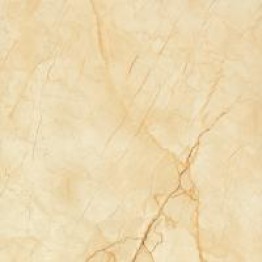 Gạch Trường Thịnh GENESIS SERIES C88J102P